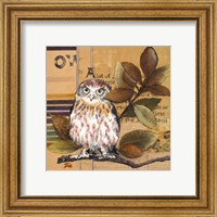 Framed 'Little Owls I' border=
