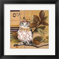 Little Owls I Framed Print