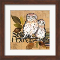 Framed Little Owls II