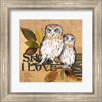 Framed Little Owls II