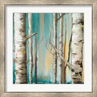 Framed Birch Forest II