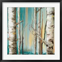 Birch Forest II Framed Print