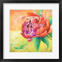 Framed Beautiful Bouquet of Peonies II