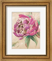 Framed Beautiful Bouquet of Peonies in Pink II