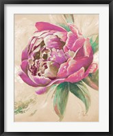 Framed Beautiful Bouquet of Peonies in Pink II