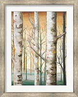 Framed Birch Forest I