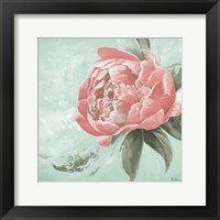 Framed Pink Peonies II