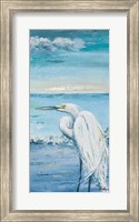 Framed Great Blue Egret II