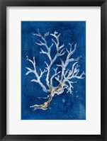White Corals I Framed Print