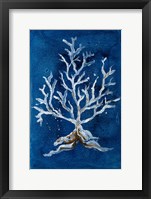 White Corals II Framed Print