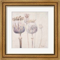 Framed Poppy Seeds II