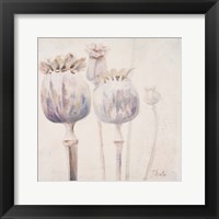 Framed 'Poppy Seeds II' border=