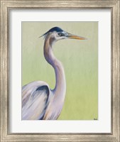 Framed Blue Heron on Green I