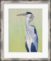 Framed Blue Heron on Green II