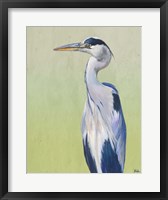 Framed Blue Heron on Green II