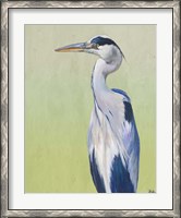 Framed Blue Heron on Green II