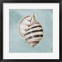 Modern Shell on Teal I Framed Print