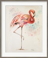 Framed Flamingo II