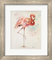 Framed 'Flamingo II' border=