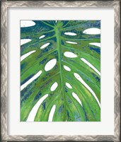 Framed Tropical Leaf with Blue II