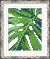 Framed Tropical Leaf with Blue I