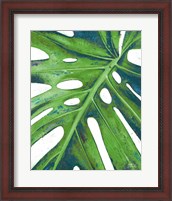 Framed 'Tropical Leaf with Blue I' border=