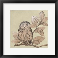 Framed 'Neutral Little Owls I' border=