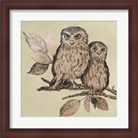Framed Neutral Little Owls II