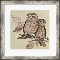 Framed Neutral Little Owls II