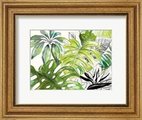 Framed Green Palms Selva I