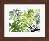 Framed Green Palms Selva I