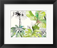 Framed Green Palms Selva II