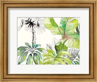 Framed Green Palms Selva II