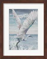 Framed Great Egret Flying