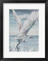 Framed Great Egret Flying