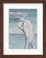 Framed Great Egret Standing