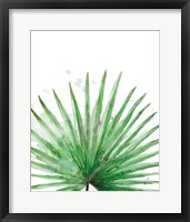 Palm Frond II Framed Print