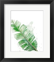 Framed Palm Frond III