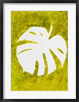 Framed Tropical Leaf Stamp White