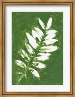Framed Tropical Leaf Branch Stamp White