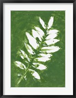 Framed Tropical Leaf Branch Stamp White