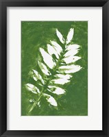 Framed Tropical Leaf Branch Stamp White