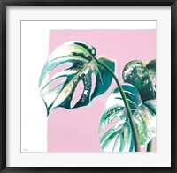 New Tropics II Framed Print