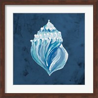 Framed Azul Dotted Seashell on Navy II