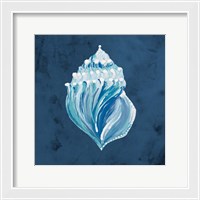 Framed 'Azul Dotted Seashell on Navy II' border=