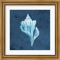 Framed 'Azul Dotted Seashell on Navy I' border=