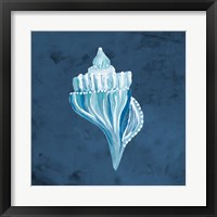 Framed 'Azul Dotted Seashell on Navy I' border=