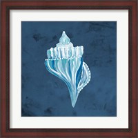Framed Azul Dotted Seashell on Navy I