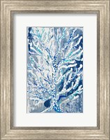 Framed Azul Dotted Coral Vertical