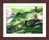 Framed Family Time